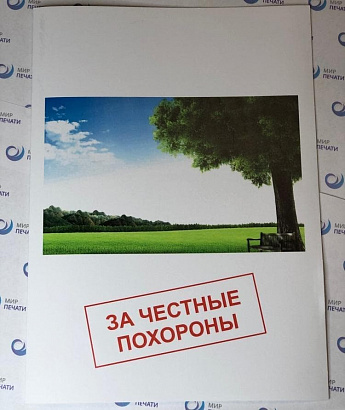 Папки